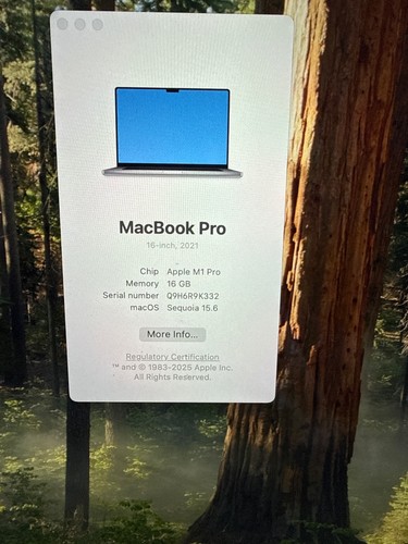 Apple macbook pro with - apple,